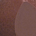 Anticipation (L18) 