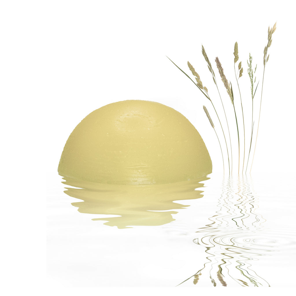 CONDITIONER BAR: HYDRA ROCK (Normal/Dry Hair) image 0