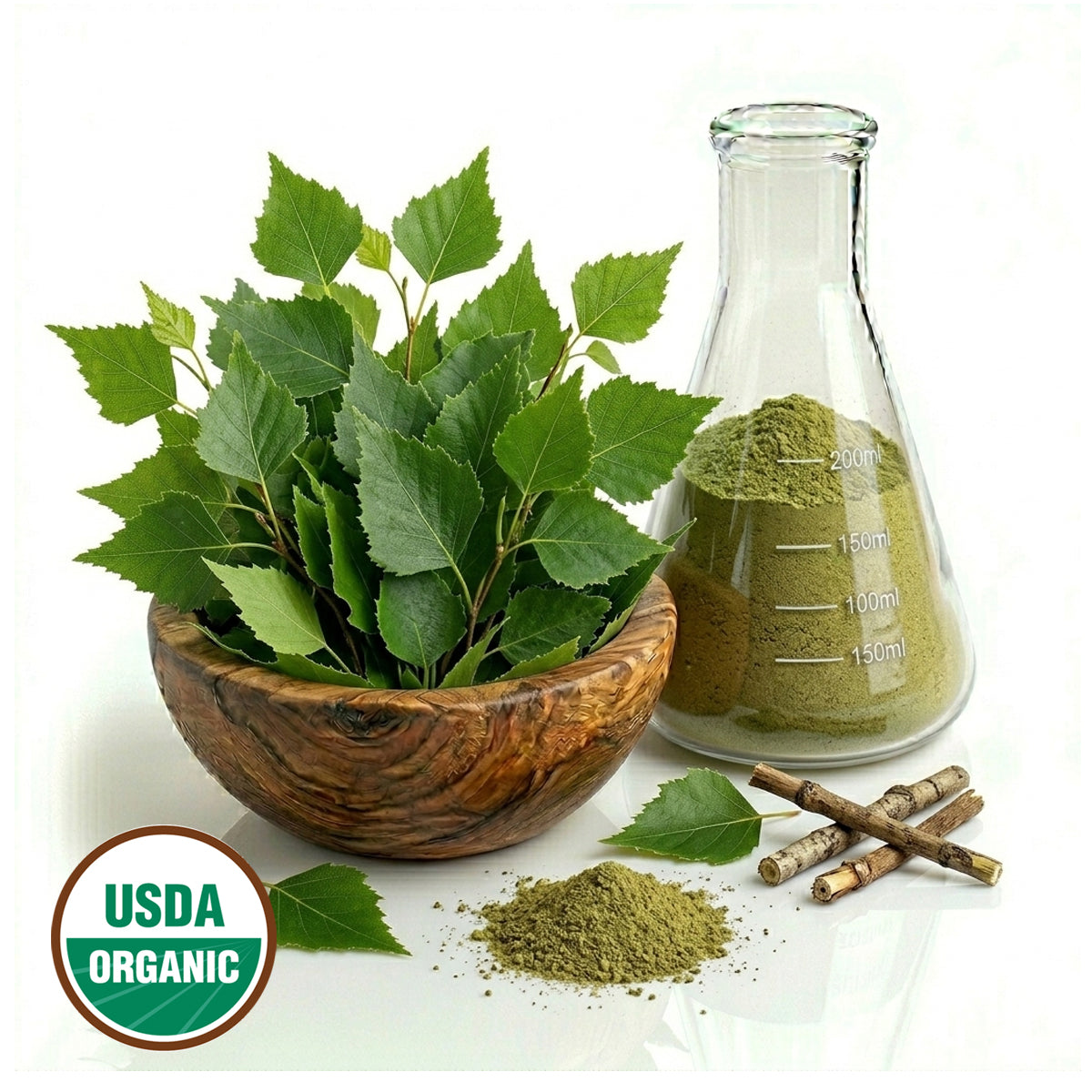 Bowl of Birch green leaves, glass flask with powder, and sticks on a white background with USDA Organic label.