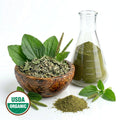 Bowl of green Plantain leaves and dryed  plant parts, flask glass container with powder, and USDA Organic label on a white background