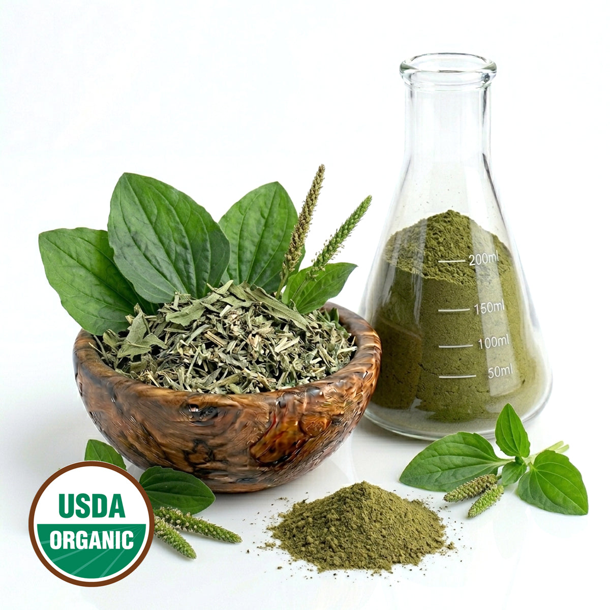 Bowl of green Plantain leaves and dryed  plant parts, flask glass container with powder, and USDA Organic label on a white background