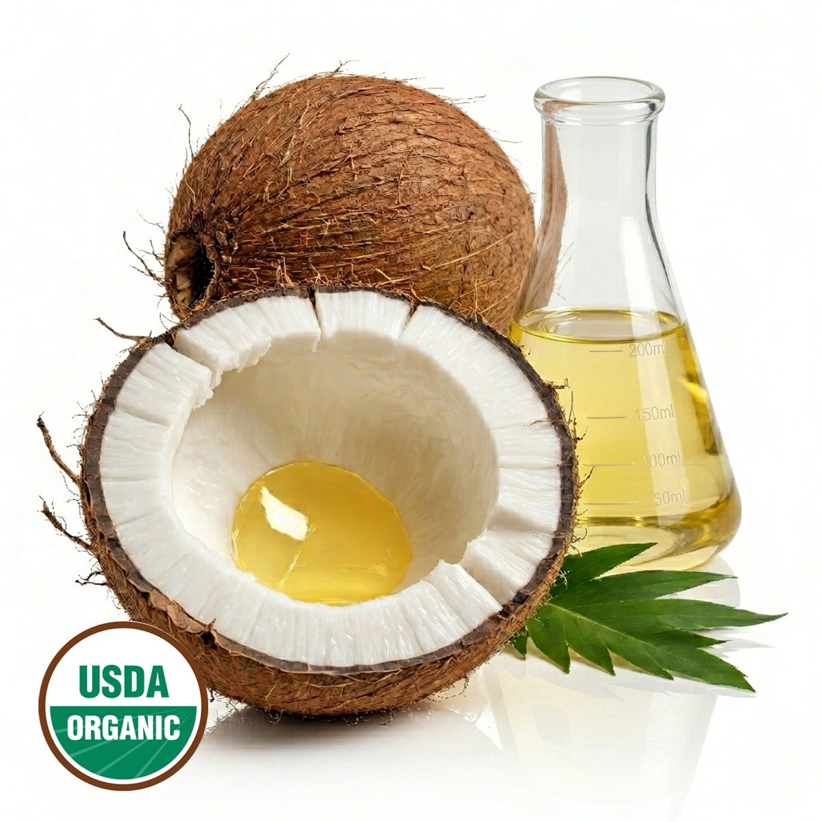 Coconut and coconut oil in a glass flask with a USDA Organic label on a white background
