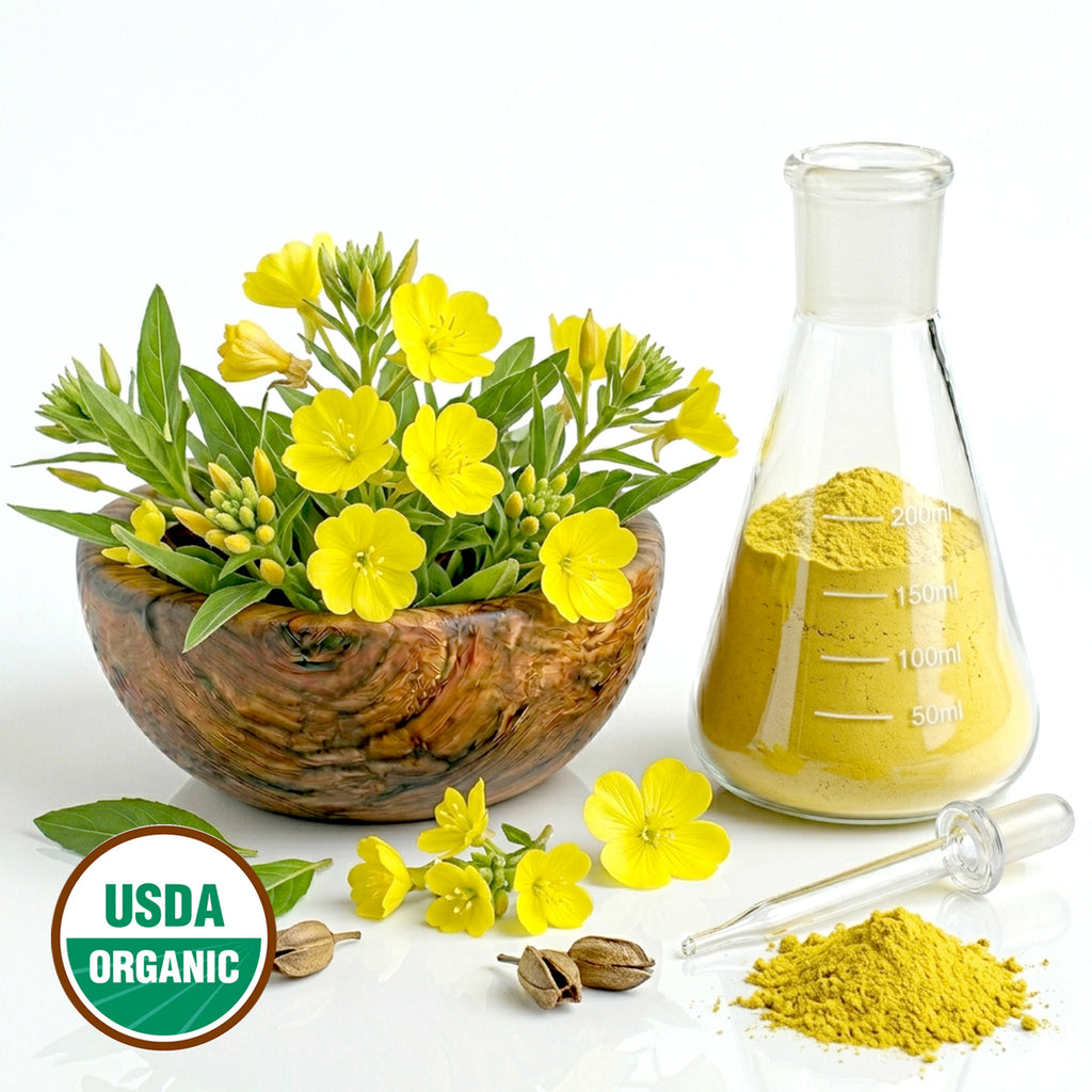 Evening Primrose yellow flowers in a wooden bowl next to a glass flask with yellow powder, USDA Organic label on a white background