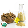 Evening primrose dried roots in a wooden bowl, yellow powder in a glass flask, and a yellow flower on a white background with USDA Organic logo.