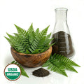 Fern leaves in a wooden bowl and a glass flask on a white background with an USDA Organic label.
