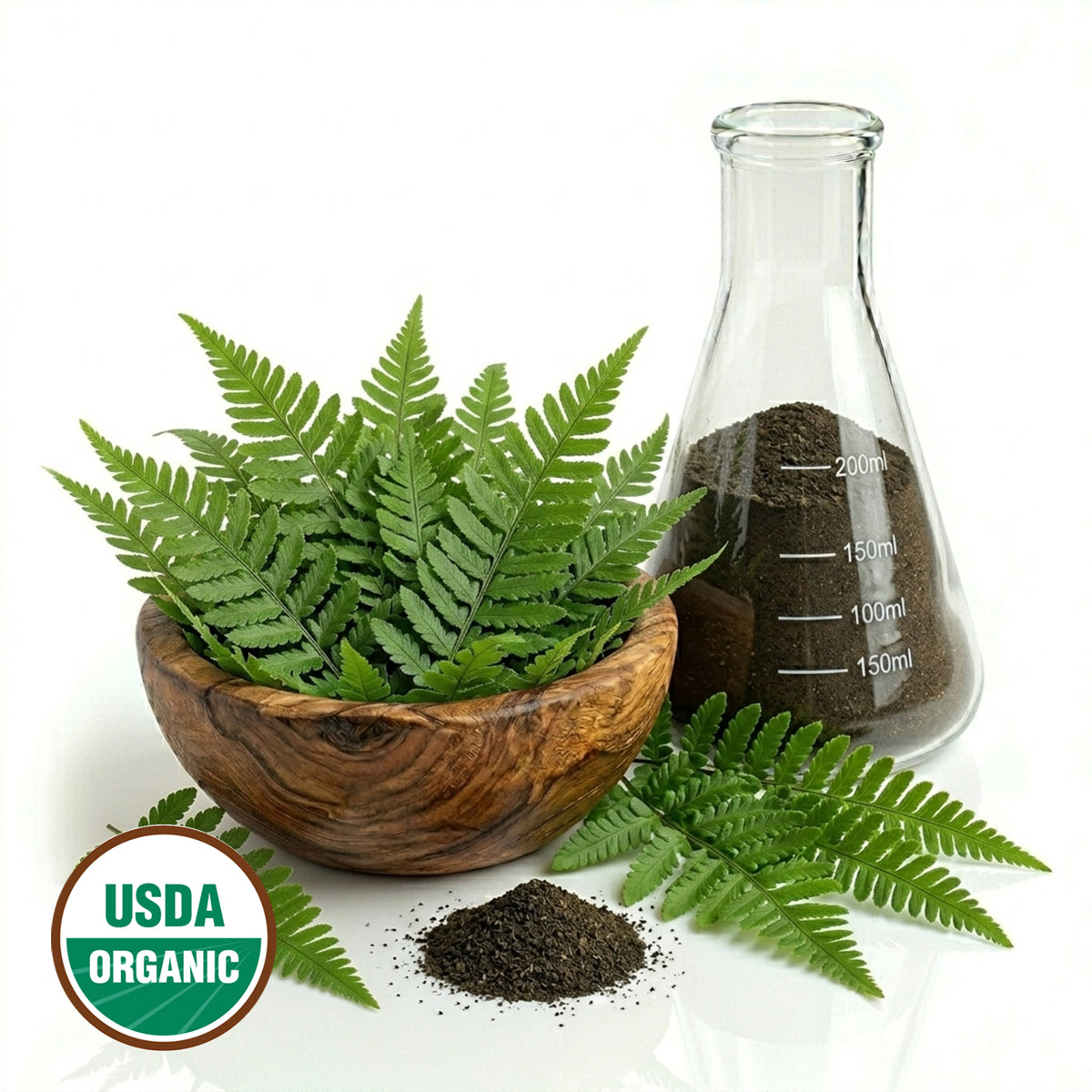 Fern leaves in a wooden bowl and a glass flask on a white background with an USDA Organic label.
