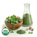 Glass beaker with Red Clover powder, wooden bowl with Red Clover flowers and USDA Organic label on a white background