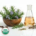 Rosemary plant in a wooden bowl, glass flask with oil, and USDA Organic label on a white background