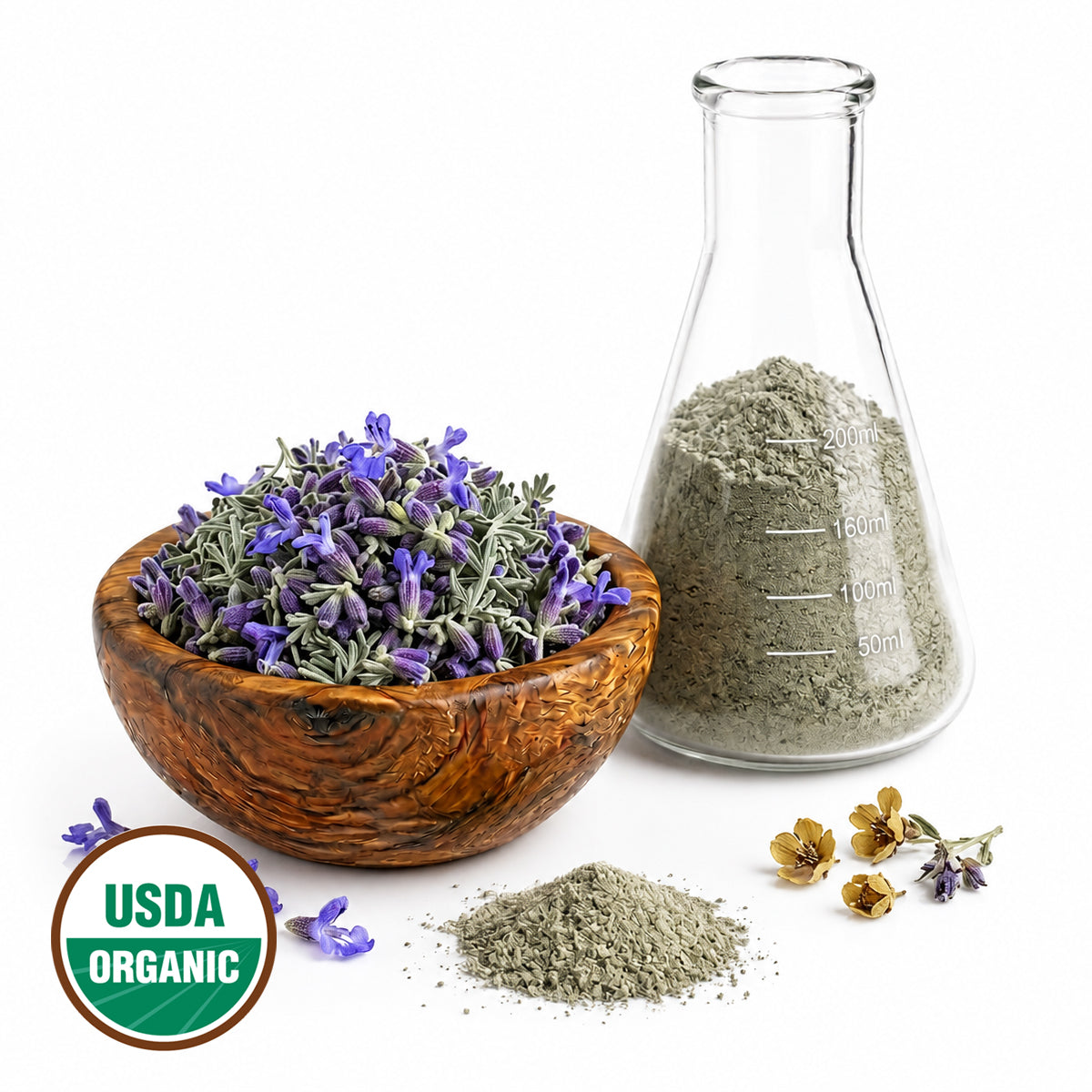 Wooden bowl with dried lavender flowers, a glass container with ground lavender, and a USDA Organic label on a white background.