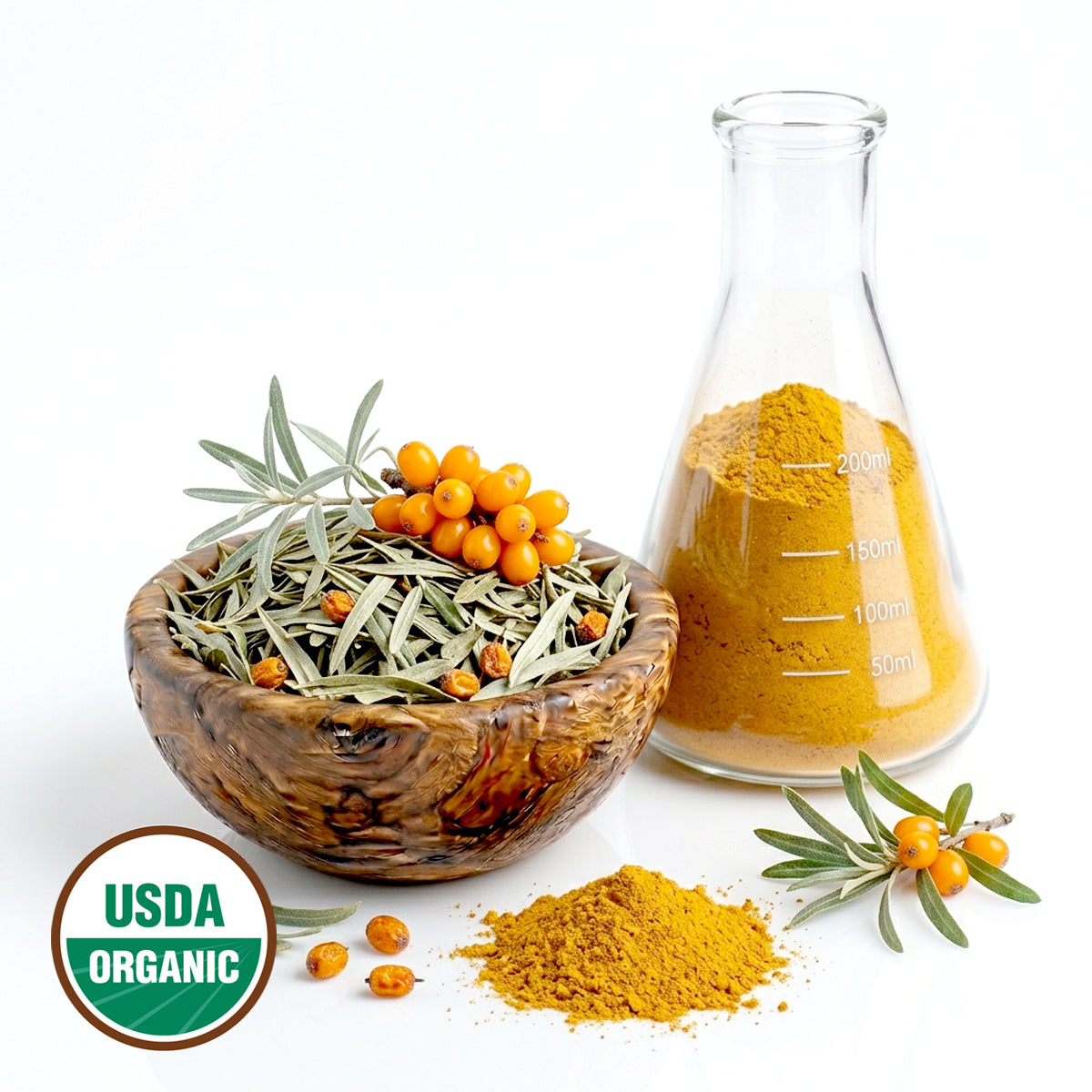 USDA Organic sea buckthorn berries and powder with a beaker on a white background