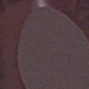 Difficile (L54) 