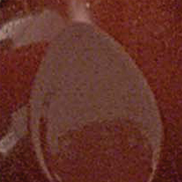 Pinot Noir (L22)