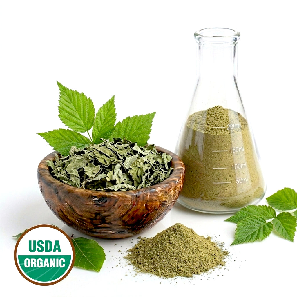 Raspberry leaf  including dried leaves and powder in a bowl and glass flask with green powder and USDA Organic label on a white background