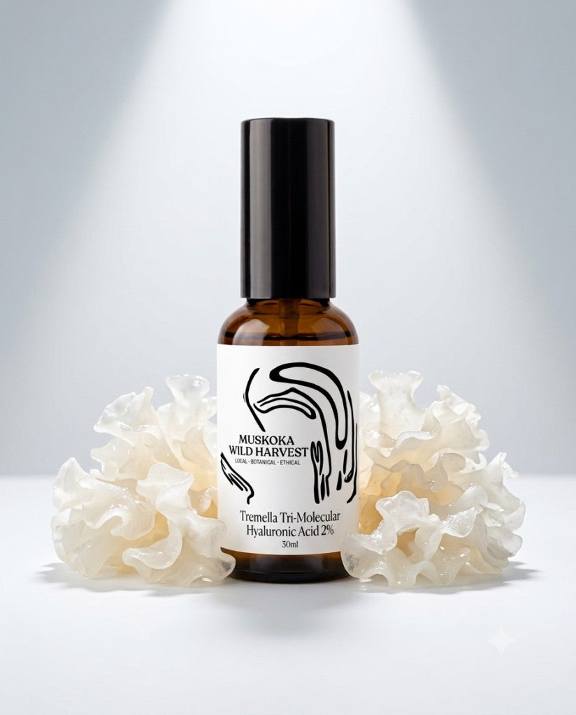 An amber glass bottle with a black cap and a white label reading 'Muskoka Wild Harvest Tremella Tri-Molecular Hyaluronic Acid 2%' and an image of Tremella mushroom  placed behind the bottle, centered on a whilte background with soft spotlights. 